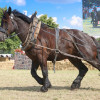 Titanen_klein1G9A3549.jpg