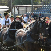D50_5438.JPG
