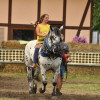 D50_7354.JPG