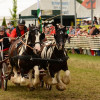 D71_5695.jpg