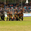 D71_5742.jpg