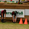 D71_6908.jpg