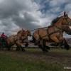 DSCF7614.jpg