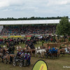 DSCF8327.jpg