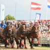 DSC_6799 - Kopie.jpg