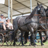 Titanen_klein1G9A2735.jpg