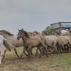 Titanen_klein1G9A3272.jpg