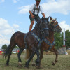 Titanen_klein1G9A3861.jpg
