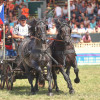 Titanen_klein5S3A6610.jpg