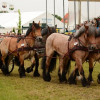 D71_5523.jpg