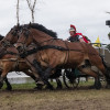 DSCF8387.jpg