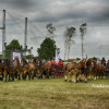 DSC_4885b.jpg