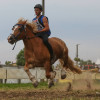 Titanen_klein1G9A2546.jpg