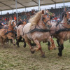 Titanen_klein1G9A2663.jpg