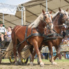 Titanen_klein1G9A2748.jpg