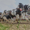 Titanen_klein1G9A3172.jpg