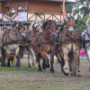 Titanen_klein1G9A4029.jpg
