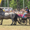 Titanen_klein5S3A6631.jpg