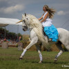 164A7856.jpg