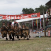164A8240.jpg