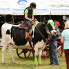 D71_4940.jpg