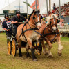 D71_5680.jpg