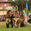 D71_7346.jpg