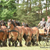 DSC_6146.jpg