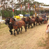 IMG_3590.jpg
