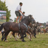 Titanen_klein1G9A2358.jpg