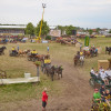 Titanen_klein1G9A2592.jpg