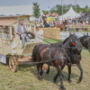 Titanen_klein1G9A2824.jpg