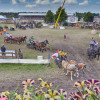 Titanen_klein1G9A3389.jpg