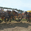 Titanen_klein1G9A3938.jpg