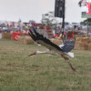 Titanen_klein1G9A4022.jpg