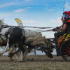 Titanen_klein1G9A4095.jpg