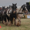 Titanen_klein5S3A6453.jpg