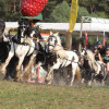 Titanen_klein5S3A7015.jpg