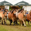 D71_5831.jpg