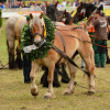 D71_7677.jpg