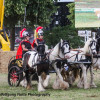 IMG_4000.jpg
