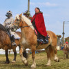 Titanen_klein1G9A2246.jpg