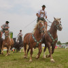 Titanen_klein1G9A2394.jpg