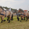Titanen_klein1G9A2471.jpg