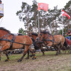Titanen_klein1G9A2504.jpg