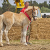 Titanen_klein5S3A6144.jpg