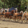 Titanen_klein5S3A6747.jpg