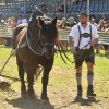 D50_5541.JPG