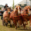 D71_6188.jpg