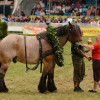 D71_7669.jpg